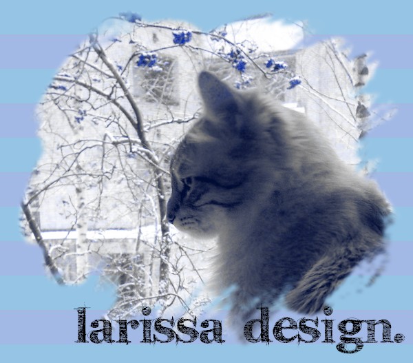 Larissa Design.
